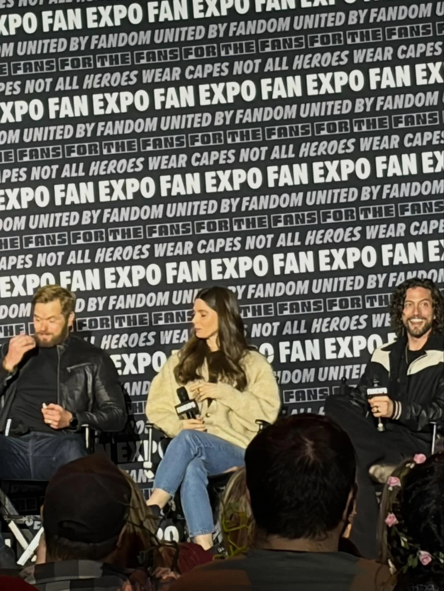 panel003.jpg