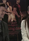 Ashley-Greene-dot-nl_BreakingDawnInterview-EOneFilms0109.jpg