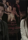 Ashley-Greene-dot-nl_BreakingDawnInterview-EOneFilms0110.jpg