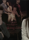 Ashley-Greene-dot-nl_BreakingDawnInterview-EOneFilms0123.jpg