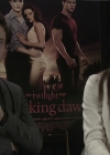 Ashley-Greene-dot-nl_BreakingDawnInterview-EOneFilms0126.jpg