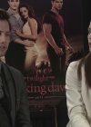 Ashley-Greene-dot-nl_BreakingDawnInterview-EOneFilms0144.jpg