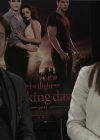 Ashley-Greene-dot-nl_BreakingDawnInterview-EOneFilms0159.jpg