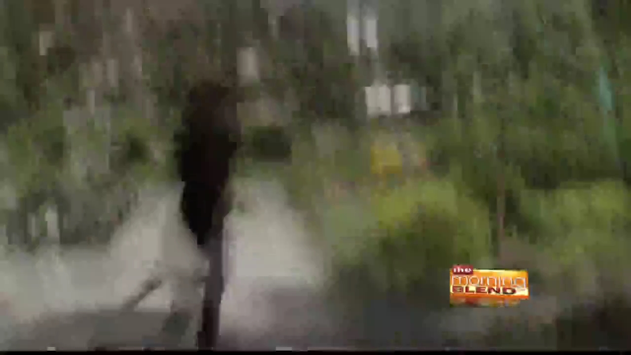 Ashley-Greene-dot_nl_RoguePressJunket-TheMorningBlend0007.jpg Ashley-Greene-dot_nl_RoguePressJunket-TheMorningBlend0007.jpg