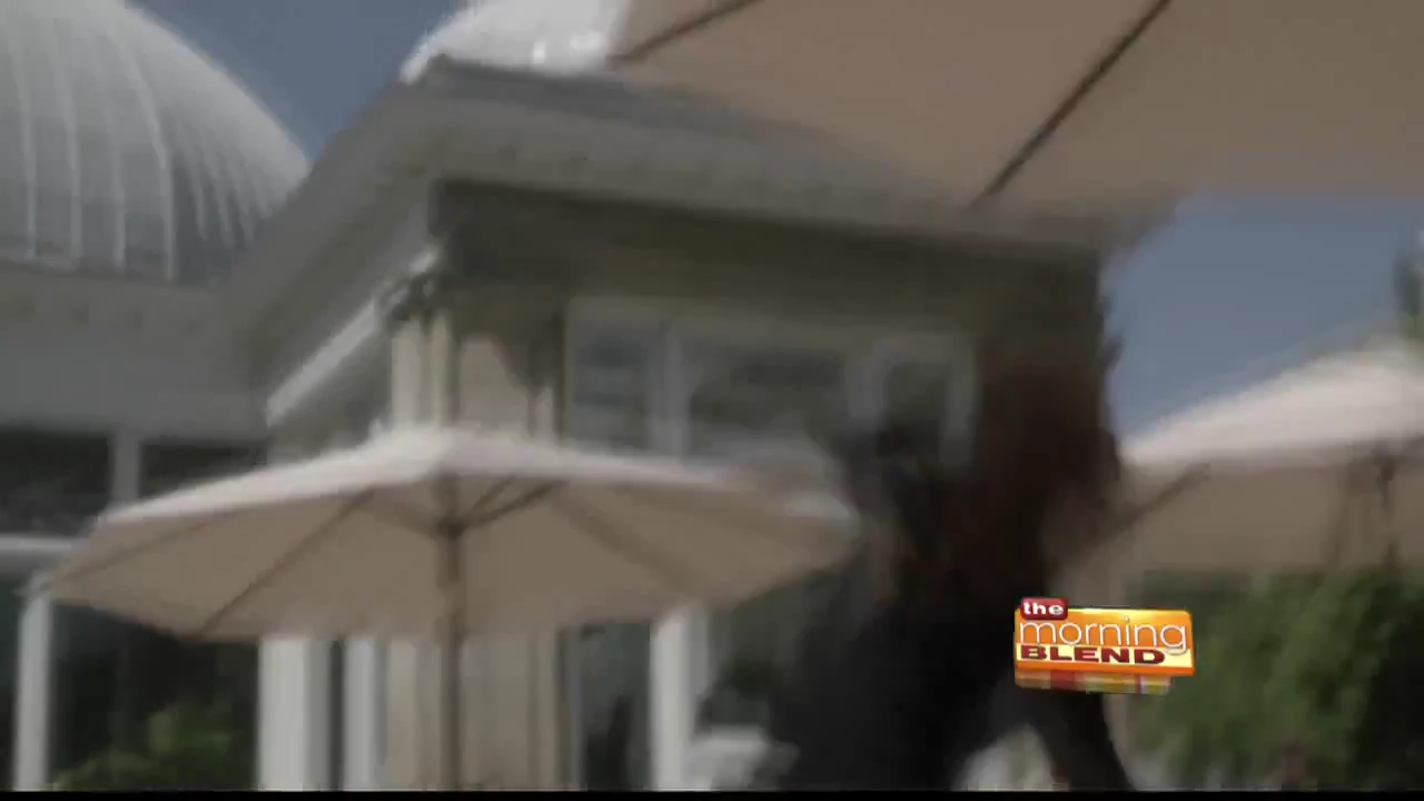 Ashley-Greene-dot_nl_RoguePressJunket-TheMorningBlend0249.jpg