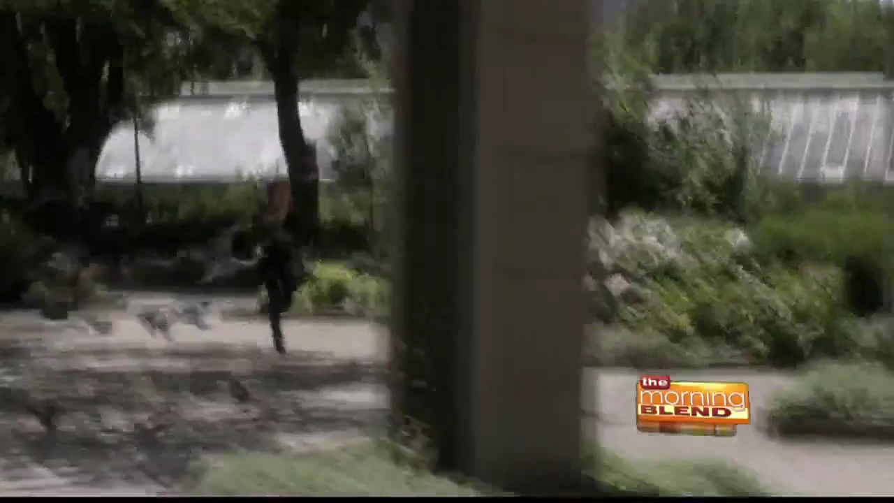 Ashley-Greene-dot_nl_RoguePressJunket-TheMorningBlend0260.jpg Ashley-Greene-dot_nl_RoguePressJunket-TheMorningBlend0260.jpg