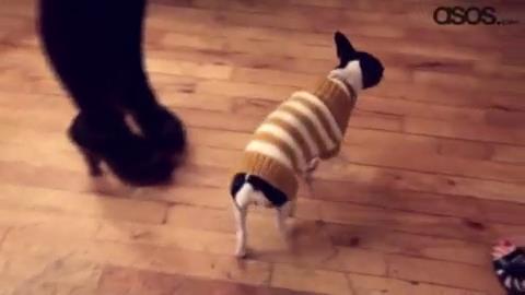 Ashley-Greene_dot_nl-ASOScovershoot00068.jpg Ashley-Greene_dot_nl-ASOScovershoot00068.jpg