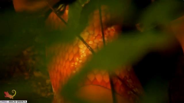 SobeShootBehindTheScenes00078.jpg SobeShootBehindTheScenes00078.jpg