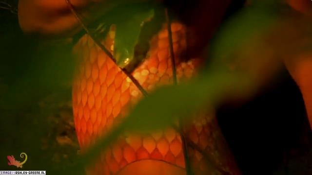 SobeShootBehindTheScenes00079.jpg SobeShootBehindTheScenes00079.jpg