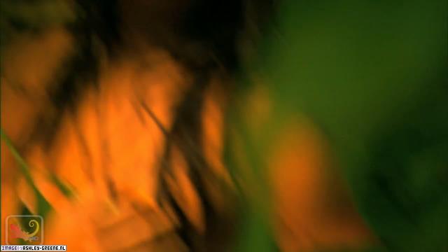 SobeShootBehindTheScenes00064.jpg SobeShootBehindTheScenes00064.jpg