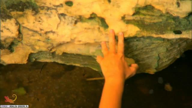 SobeShootBehindTheScenes00078.jpg SobeShootBehindTheScenes00078.jpg