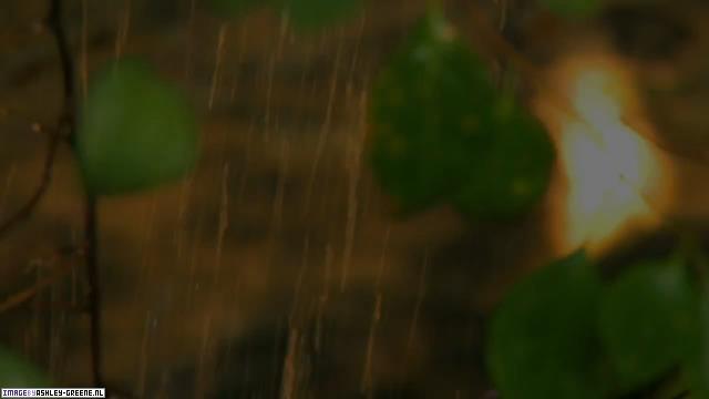 SobeShootBehindTheScenes00081.jpg SobeShootBehindTheScenes00081.jpg