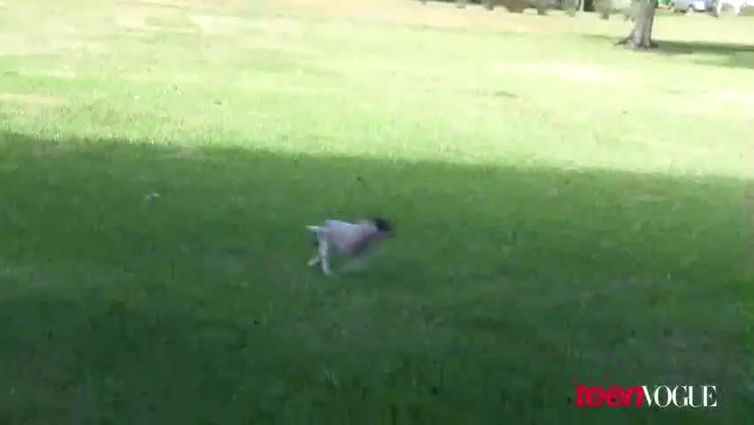 ashleygreene_dot_nl--TeenVouge2011BTS00063.jpg ashleygreene_dot_nl--TeenVouge2011BTS00063.jpg