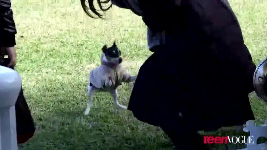 ashleygreene_dot_nl--TeenVouge2011BTS00082.jpg ashleygreene_dot_nl--TeenVouge2011BTS00082.jpg