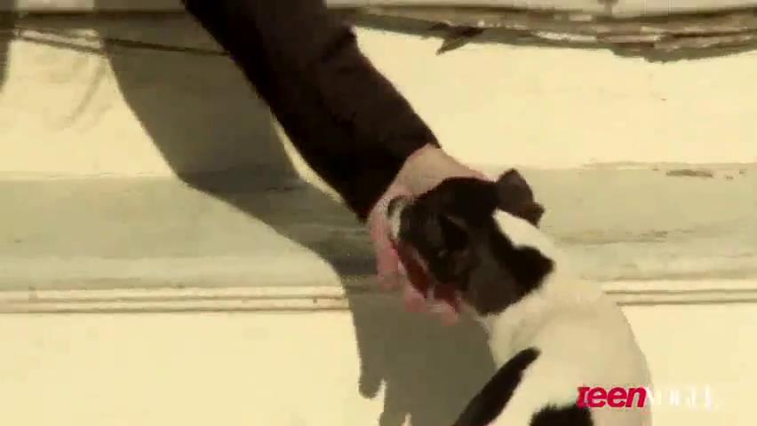 ashleygreene_dot_nl--TeenVouge2011BTS00202.jpg ashleygreene_dot_nl--TeenVouge2011BTS00202.jpg