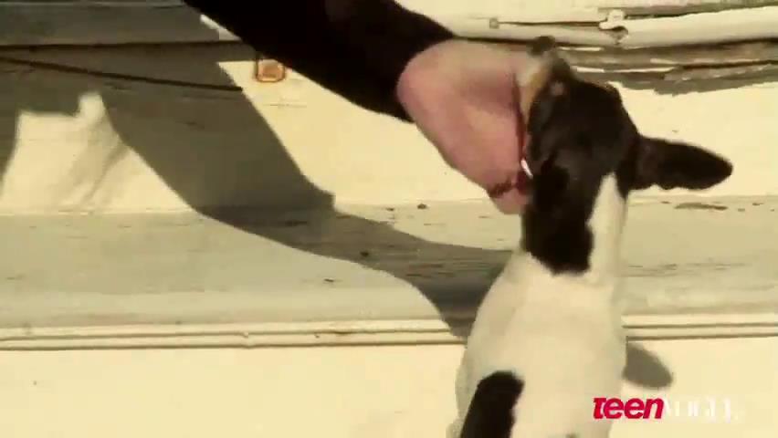 ashleygreene_dot_nl--TeenVouge2011BTS00203.jpg ashleygreene_dot_nl--TeenVouge2011BTS00203.jpg