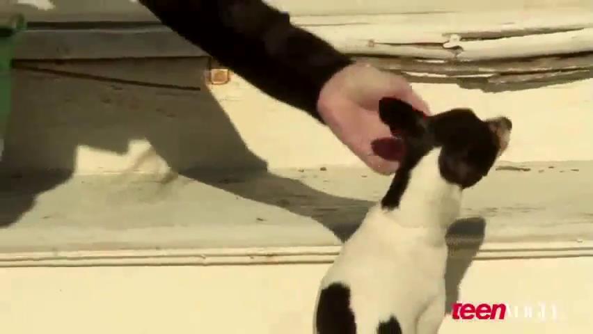 ashleygreene_dot_nl--TeenVouge2011BTS00204.jpg ashleygreene_dot_nl--TeenVouge2011BTS00204.jpg