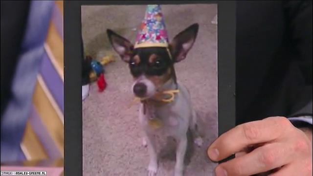 2009JimmyKimmelLive00101.jpg 2009JimmyKimmelLive00101.jpg