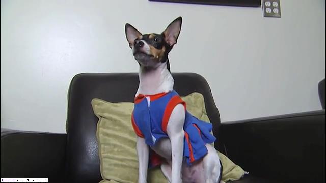 2009JimmyKimmelLive00303.jpg