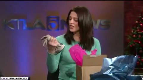 Ashley-Greene_dot_nl-KTLA00043.jpg Ashley-Greene_dot_nl-KTLA00043.jpg