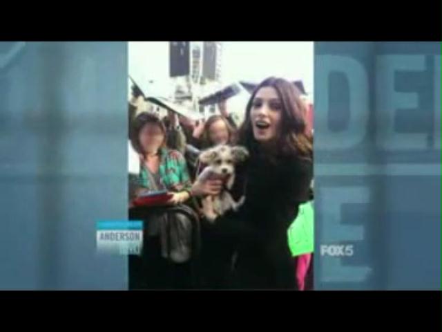 Ashley-Greene-dot-nl_20November2012AndersonLive0265.jpg