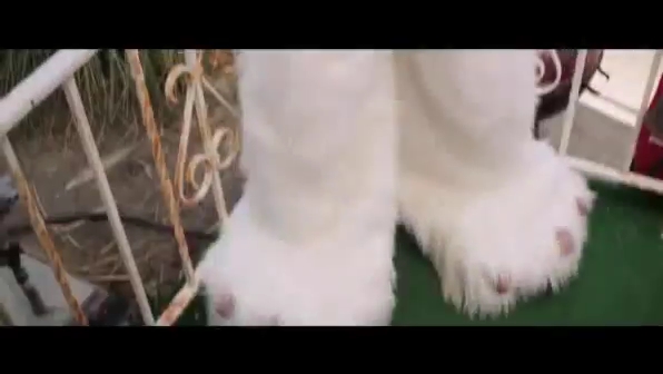 ashley-greene_nl_14Juli2014-TheTodayShow0012.jpg ashley-greene_nl_14Juli2014-TheTodayShow0012.jpg