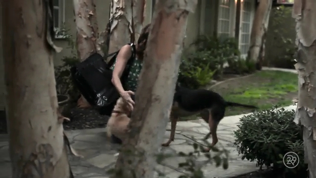 Ashley-Greene-dot-nl_Refinery29interview-1-0026.jpg Ashley-Greene-dot-nl_Refinery29interview-1-0026.jpg