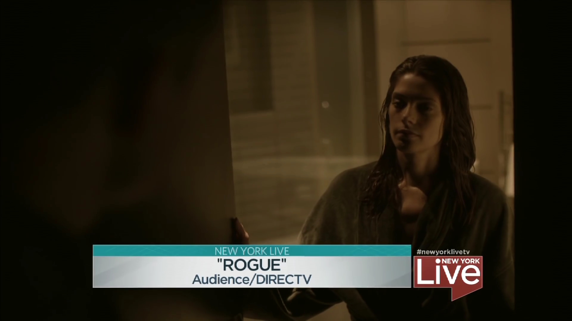 Ashley-Greene-dot_nl-6april2016HuffPostLive0011.jpg