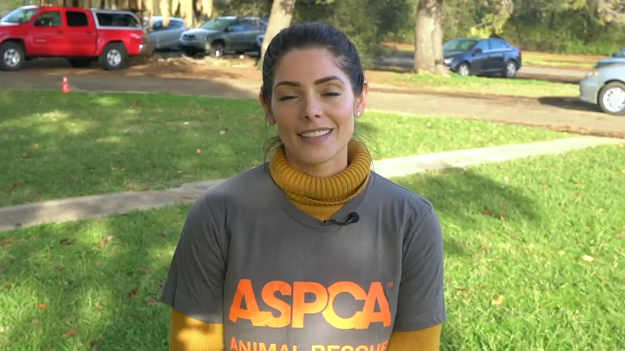 Ashley-Greene-dot-nl_ASPCA0000.jpg
