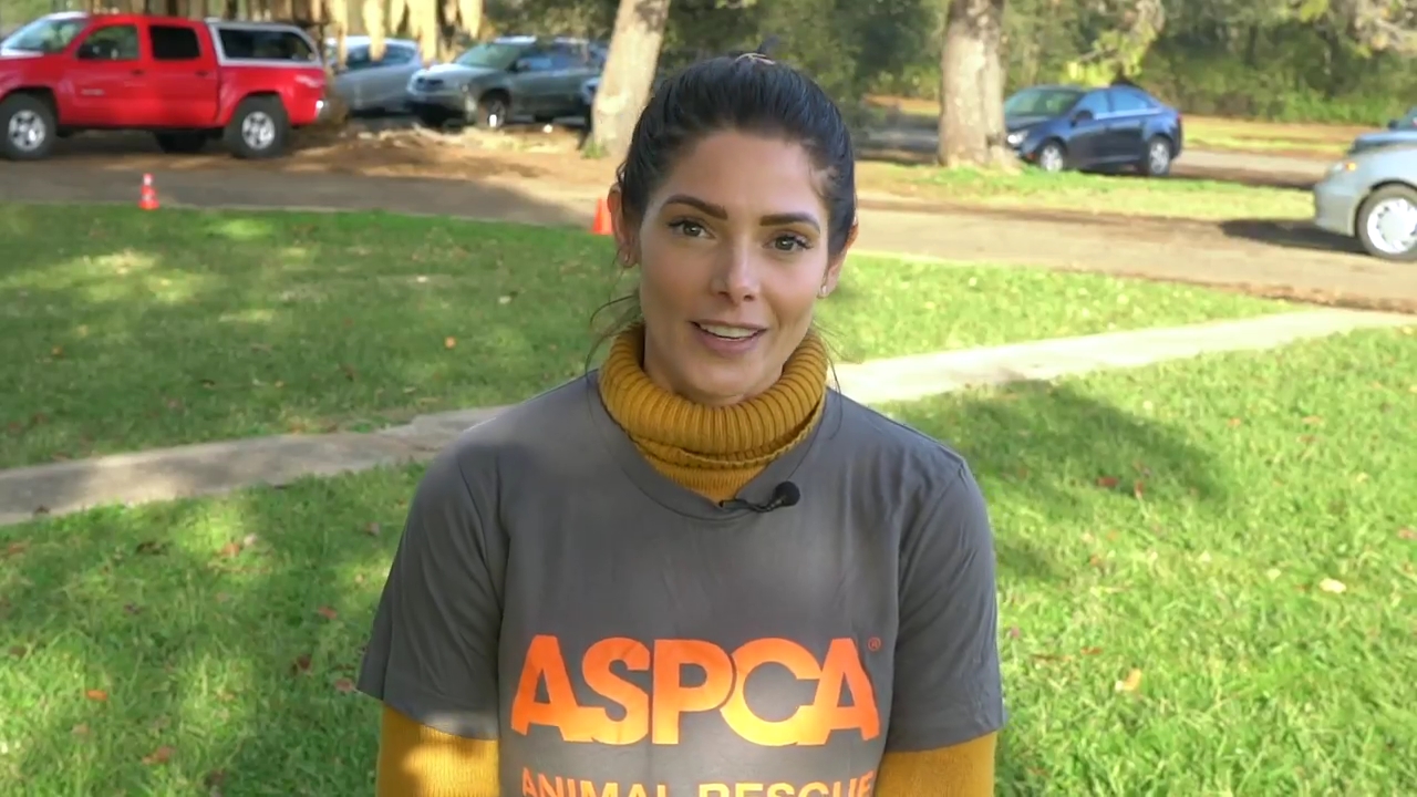 Ashley-Greene-dot-nl_ASPCA0002.jpg