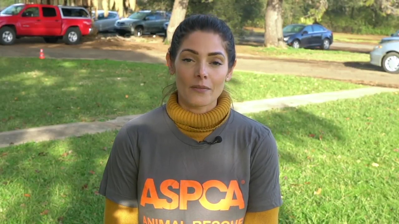 Ashley-Greene-dot-nl_ASPCA0003.jpg
