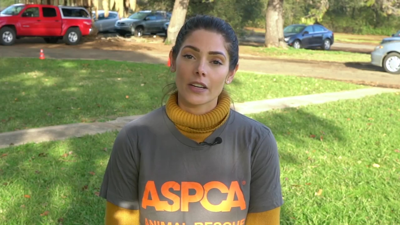 Ashley-Greene-dot-nl_ASPCA0004.jpg
