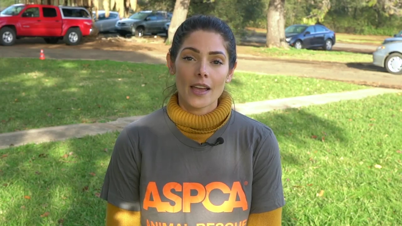 Ashley-Greene-dot-nl_ASPCA0005.jpg