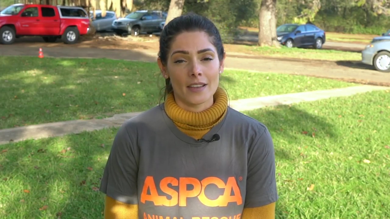Ashley-Greene-dot-nl_ASPCA0007.jpg