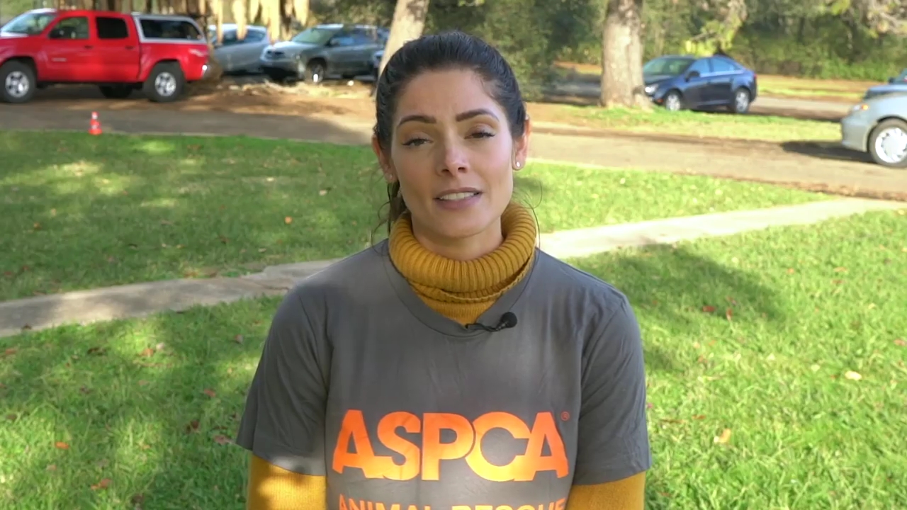 Ashley-Greene-dot-nl_ASPCA0008.jpg