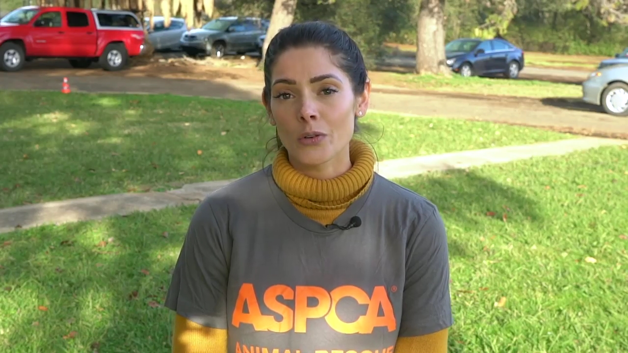 Ashley-Greene-dot-nl_ASPCA0009.jpg