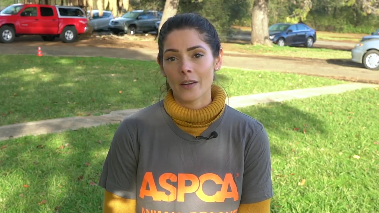 Ashley-Greene-dot-nl_ASPCA0010.jpg