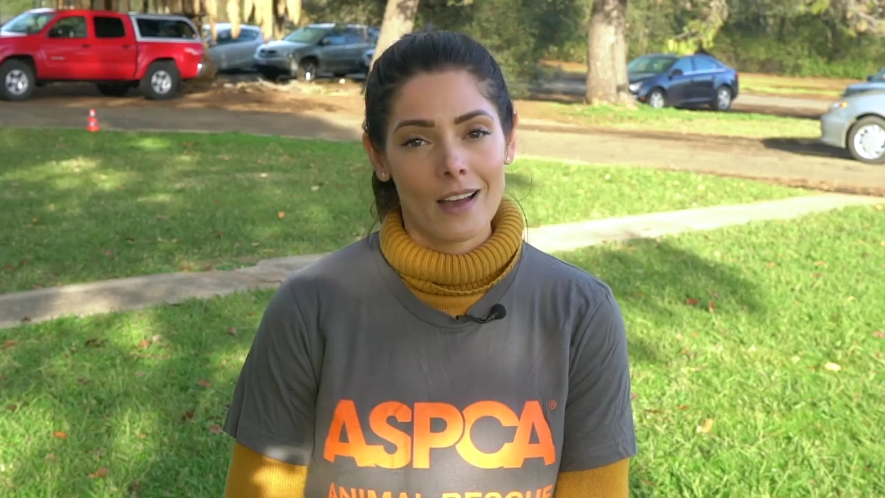 Ashley-Greene-dot-nl_ASPCA0012.jpg