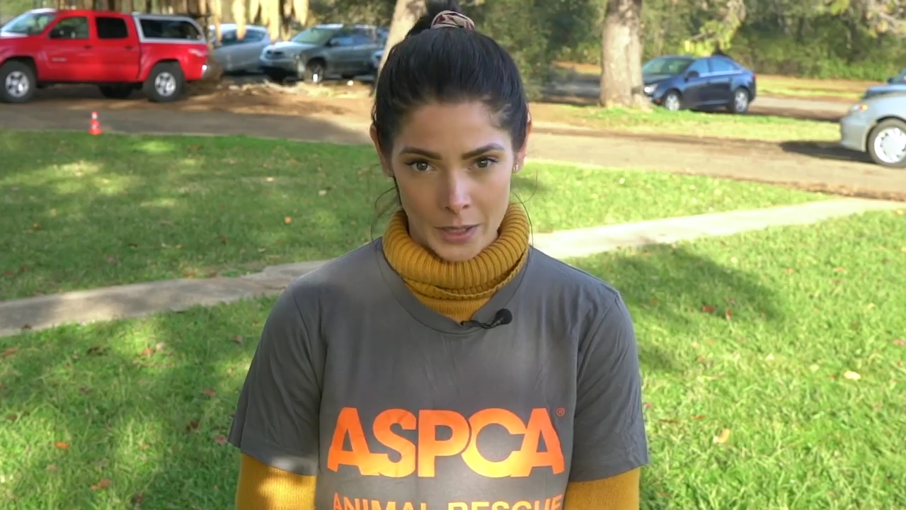 Ashley-Greene-dot-nl_ASPCA0013.jpg