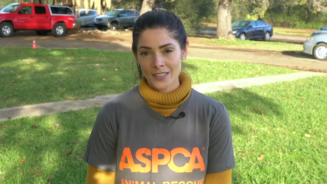 Ashley-Greene-dot-nl_ASPCA0016.jpg