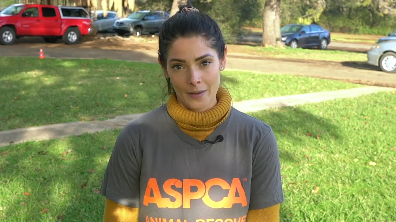 Ashley-Greene-dot-nl_ASPCA0017.jpg