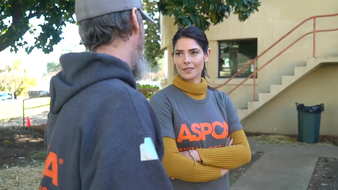 Ashley-Greene-dot-nl_ASPCA0020.jpg