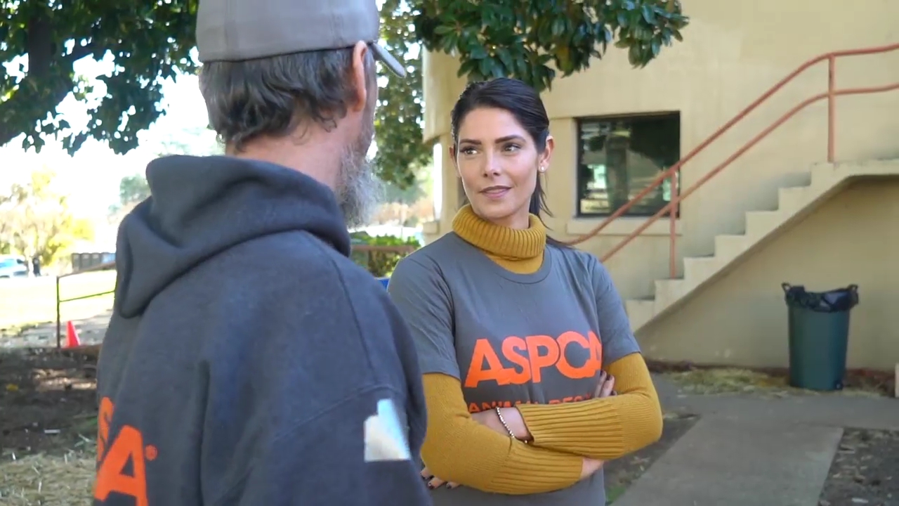 Ashley-Greene-dot-nl_ASPCA0021.jpg