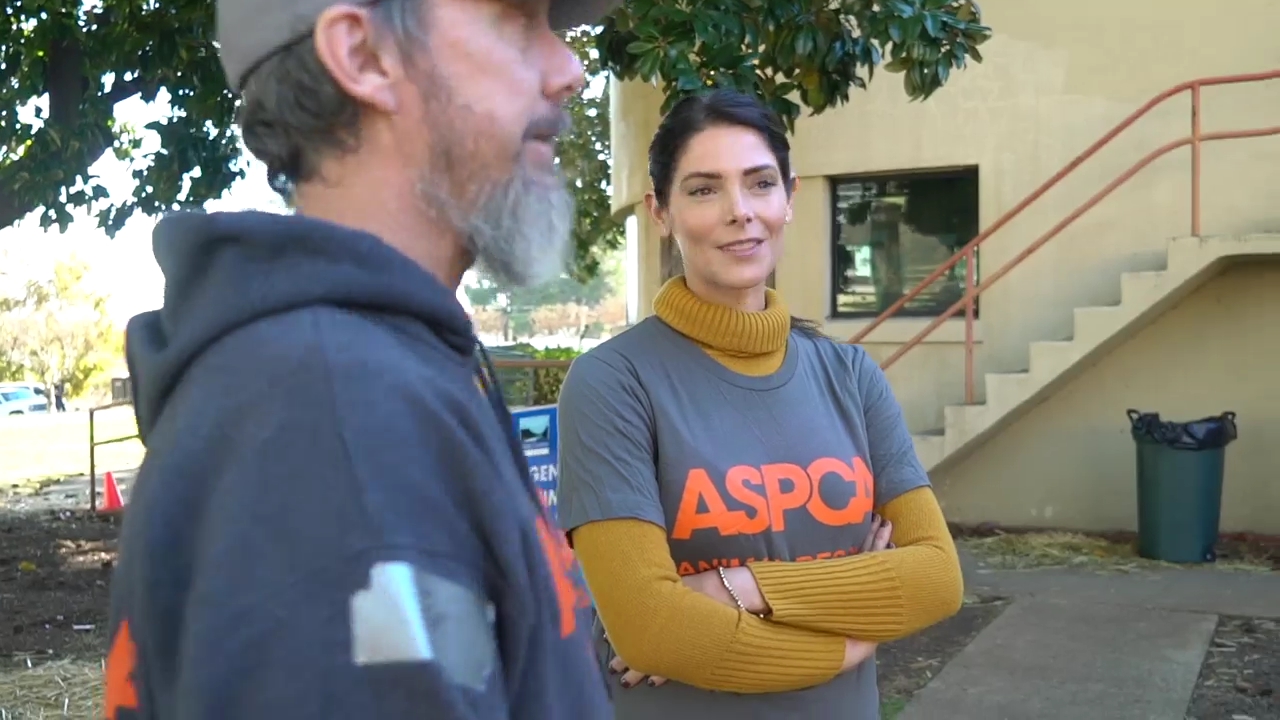 Ashley-Greene-dot-nl_ASPCA0024.jpg