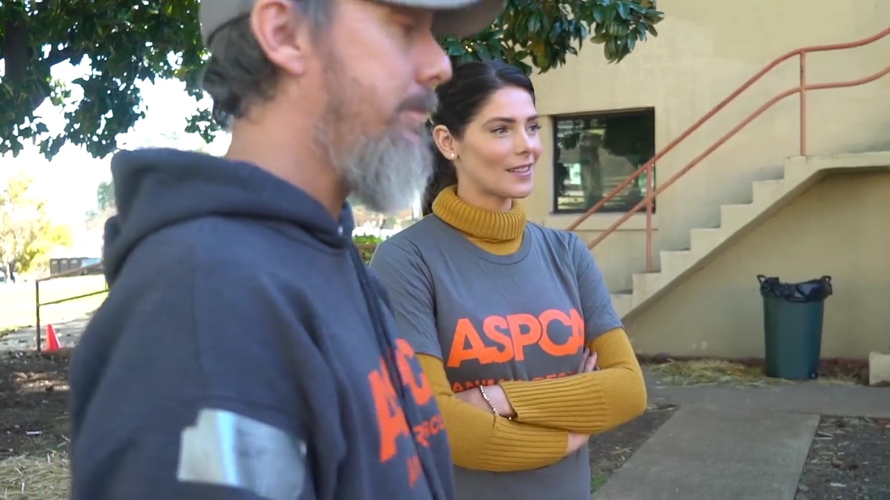 Ashley-Greene-dot-nl_ASPCA0025.jpg