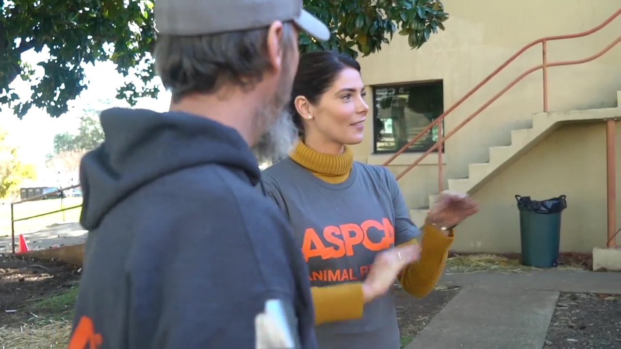 Ashley-Greene-dot-nl_ASPCA0026.jpg