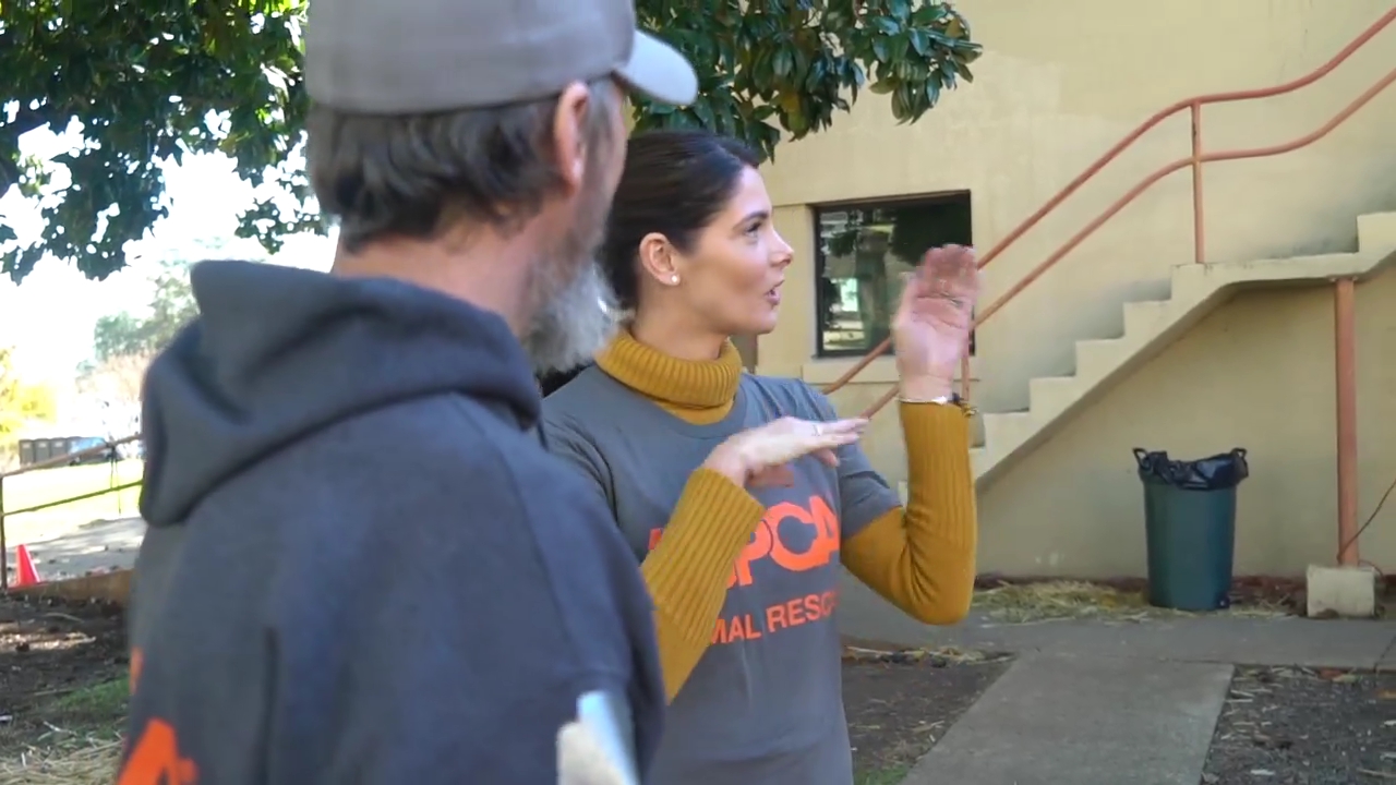 Ashley-Greene-dot-nl_ASPCA0027.jpg
