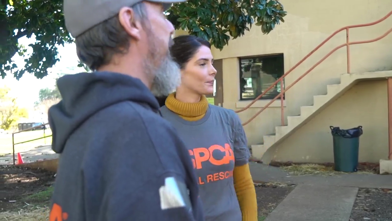 Ashley-Greene-dot-nl_ASPCA0029.jpg