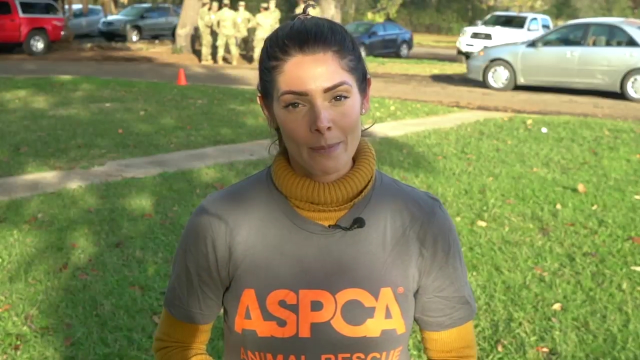 Ashley-Greene-dot-nl_ASPCA0064.jpg