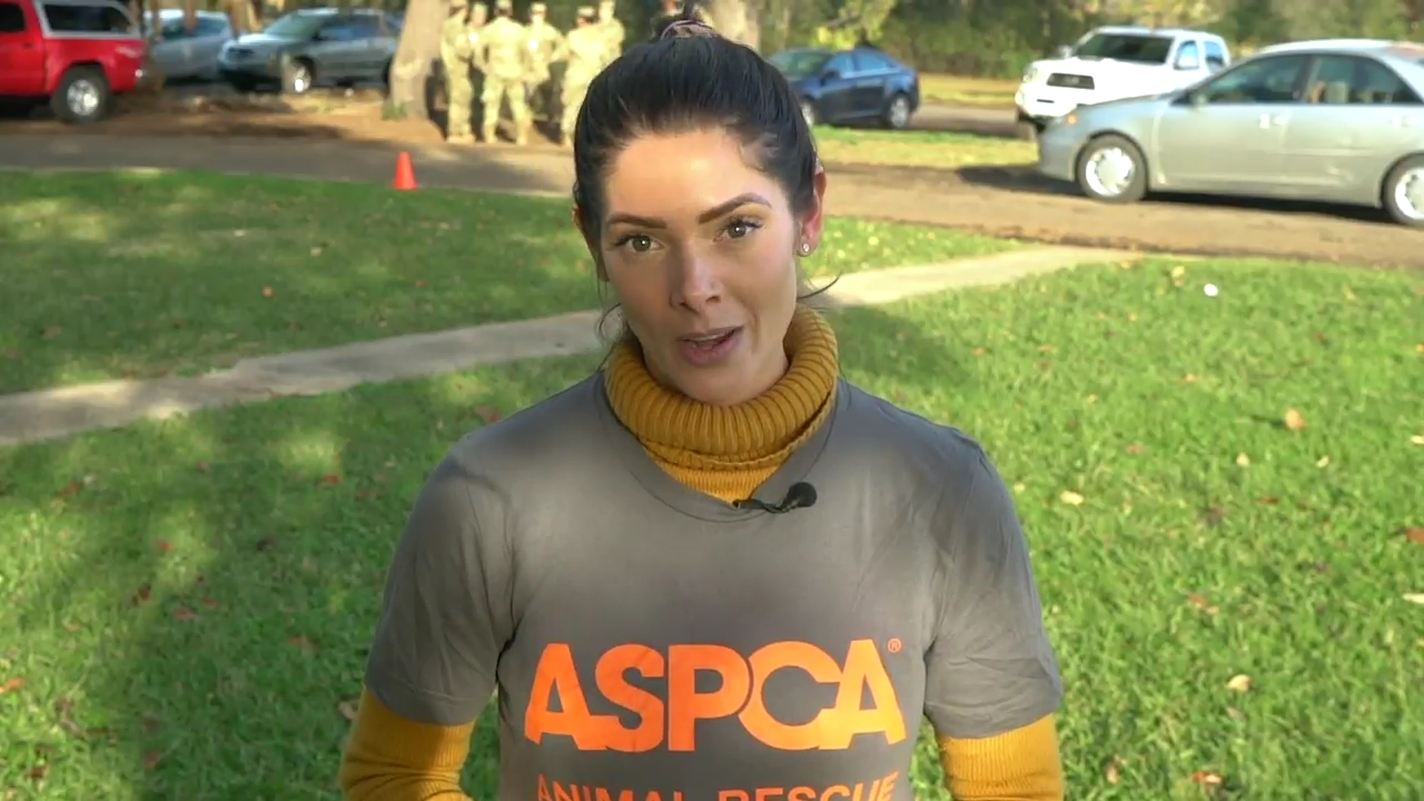 Ashley-Greene-dot-nl_ASPCA0065.jpg